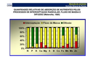 QUANTIDADES RELATIVAS DE ABSORÇÃO DE NUTRIENTES PELOS
PROCESSOS DE INTERCEPTAÇÃO RADICULAR, FLUXO DE MASSA E
DIFUSÃO (Malavolta, 1980)
Absorção de nutrientes
Nutrição Mineral de Plantas
 