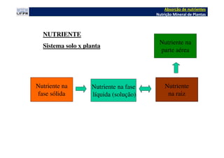 Nutriente na
parte aérea
Nutriente na
fase sólida
Nutriente
na raiz
NUTRIENTE
Sistema solo x planta
Nutriente na fase
líquida (solução)
Absorção de nutrientes
Nutrição Mineral de Plantas
 