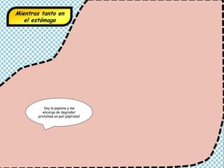 Mientras tanto en
el estómago
Soy la pepsina y me
encargo de degradar
proteínas en poli péptidos!