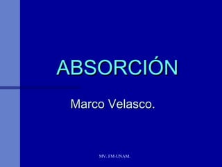ABSORCIÓN
 Marco Velasco.



     MV. FM-UNAM.
 