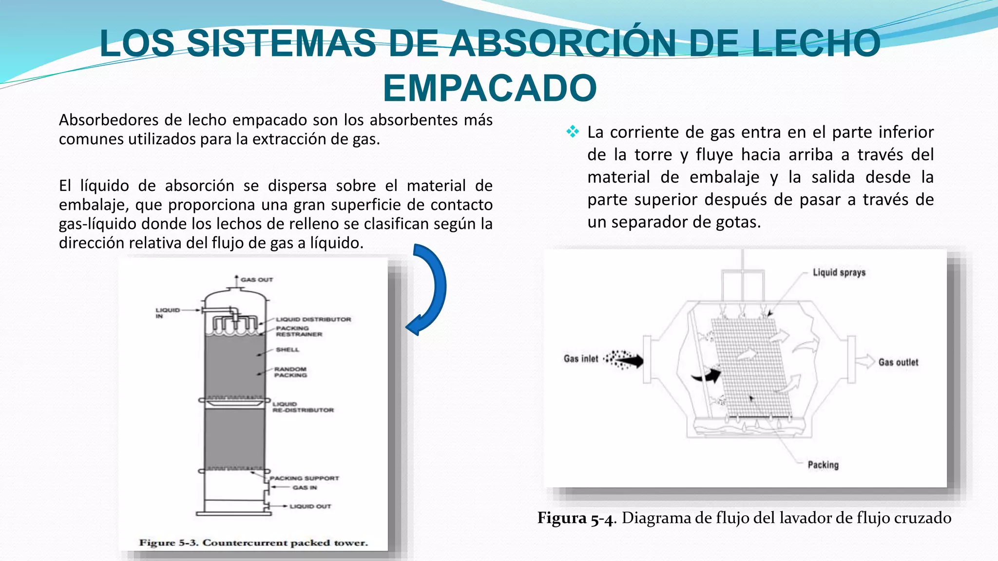 Absorción de contaminantes | PPTX