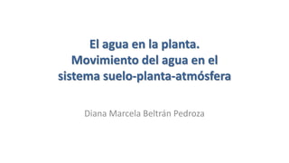 El agua en la planta.
Movimiento del agua en el
sistema suelo-planta-atmósfera
Diana Marcela Beltrán Pedroza
 