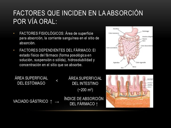 Absorción de Fármacos