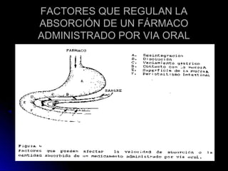 FACTORES QUE REGULAN LA
ABSORCIÓN DE UN FÁRMACO
ADMINISTRADO POR VIA ORAL
 
