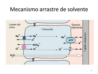 Mecanismo arrastre de solvente
16
 