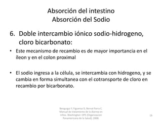 Absorción del intestino
Absorción del Sodio
6. Doble intercambio iónico sodio-hidrogeno,
cloro bicarbonato:
• Este mecanismo de recambio es de mayor importancia en el
íleon y en el colon proximal
• El sodio ingresa a la célula, se intercambia con hidrogeno, y se
cambia en forma simultanea con el cotransporte de cloro en
recambio por bicarbonato.
Benguigui Y, Figueroa D, Bernal Parra C.
Manual de tratamiento de la diarrea en
niños. Washington: OPS (Organizacion
Panamericana de la Salud); 2008.
19
 