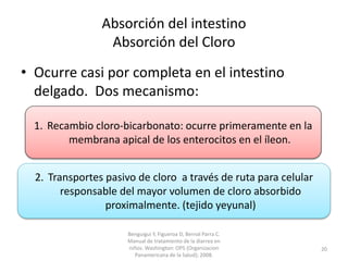 Absorción del intestino
Absorción del Cloro
• Ocurre casi por completa en el intestino
delgado. Dos mecanismo:
1. Recambio cloro-bicarbonato: ocurre primeramente en la
membrana apical de los enterocitos en el íleon.
2. Transportes pasivo de cloro a través de ruta para celular
responsable del mayor volumen de cloro absorbido
proximalmente. (tejido yeyunal)
Benguigui Y, Figueroa D, Bernal Parra C.
Manual de tratamiento de la diarrea en
niños. Washington: OPS (Organizacion
Panamericana de la Salud); 2008.
20
 