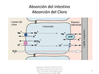 Absorción del intestino
Absorción del Cloro
Benguigui Y, Figueroa D, Bernal Parra C.
Manual de tratamiento de la diarrea en
niños. Washington: OPS (Organizacion
Panamericana de la Salud); 2008.
21
 