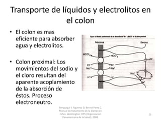 Transporte de líquidos y electrolitos en
el colon
• El colon es mas
eficiente para absorber
agua y electrolitos.
• Colon proximal: Los
movimientos del sodio y
el cloro resultan del
aparente acoplamiento
de la absorción de
éstos. Proceso
electroneutro.
Benguigui Y, Figueroa D, Bernal Parra C.
Manual de tratamiento de la diarrea en
niños. Washington: OPS (Organizacion
Panamericana de la Salud); 2008.
25
 