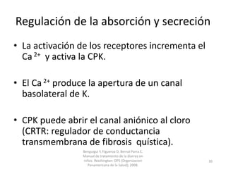 Regulación de la absorción y secreción
• La activación de los receptores incrementa el
Ca 2+ y activa la CPK.
• El Ca 2+ produce la apertura de un canal
basolateral de K.
• CPK puede abrir el canal aniónico al cloro
(CRTR: regulador de conductancia
transmembrana de fibrosis quística).
Benguigui Y, Figueroa D, Bernal Parra C.
Manual de tratamiento de la diarrea en
niños. Washington: OPS (Organizacion
Panamericana de la Salud); 2008.
30
 