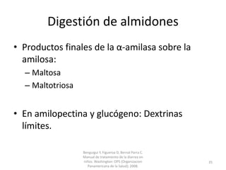 Digestión de almidones
• Productos finales de la α-amilasa sobre la
amilosa:
– Maltosa
– Maltotriosa
• En amilopectina y glucógeno: Dextrinas
límites.
Benguigui Y, Figueroa D, Bernal Parra C.
Manual de tratamiento de la diarrea en
niños. Washington: OPS (Organizacion
Panamericana de la Salud); 2008.
35
 