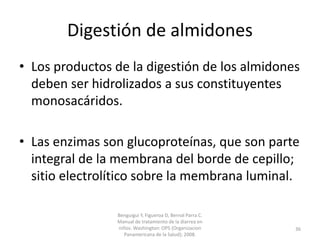 Digestión de almidones
• Los productos de la digestión de los almidones
deben ser hidrolizados a sus constituyentes
monosacáridos.
• Las enzimas son glucoproteínas, que son parte
integral de la membrana del borde de cepillo;
sitio electrolítico sobre la membrana luminal.
Benguigui Y, Figueroa D, Bernal Parra C.
Manual de tratamiento de la diarrea en
niños. Washington: OPS (Organizacion
Panamericana de la Salud); 2008.
36
 