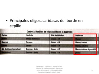 • Principales oligosacaridasas del borde en
cepillo:
Benguigui Y, Figueroa D, Bernal Parra C.
Manual de tratamiento de la diarrea en
niños. Washington: OPS (Organizacion
Panamericana de la Salud); 2008.
37
 