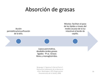 Absorción de grasas
Acción
peristáltica/emusificación
de la bilis.
Lipasa pancreática,
desdobla ácidos grasos
ligados  ac. Grasos
libres y monoglicéridos.
Micelas: facilitan el paso
de los lípidos a travez del
medio acuoso de la luz
intestinal al borde de
cepillo.
Benguigui Y, Figueroa D, Bernal Parra C.
Manual de tratamiento de la diarrea en
niños. Washington: OPS (Organizacion
Panamericana de la Salud); 2008.
39
 