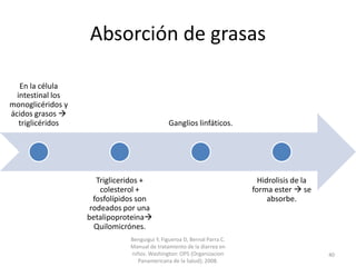 Absorción de grasas
En la célula
intestinal los
monoglicéridos y
ácidos grasos 
triglicéridos
Trigliceridos +
colesterol +
fosfolípidos son
rodeados por una
betalipoproteina
Quilomicrónes.
Ganglios linfáticos.
Hidrolisis de la
forma ester  se
absorbe.
Benguigui Y, Figueroa D, Bernal Parra C.
Manual de tratamiento de la diarrea en
niños. Washington: OPS (Organizacion
Panamericana de la Salud); 2008.
40
 