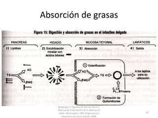 Absorción de grasas
Benguigui Y, Figueroa D, Bernal Parra C.
Manual de tratamiento de la diarrea en
niños. Washington: OPS (Organizacion
Panamericana de la Salud); 2008.
41
 