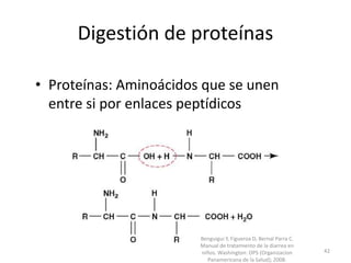 Digestión de proteínas
• Proteínas: Aminoácidos que se unen
entre si por enlaces peptídicos
Benguigui Y, Figueroa D, Bernal Parra C.
Manual de tratamiento de la diarrea en
niños. Washington: OPS (Organizacion
Panamericana de la Salud); 2008.
42
 