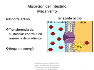 Absorción del intestino
Mecanismo
Trasporte Activo
Transferencia de
sustancias contra o en
ausencia de gradiente.
Requiere energía
Benguigui Y, Figueroa D, Bernal Parra C.
Manual de tratamiento de la diarrea en
niños. Washington: OPS (Organizacion
Panamericana de la Salud); 2008.
5
 