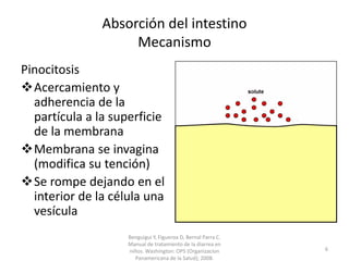 Absorción del intestino
Mecanismo
Pinocitosis
Acercamiento y
adherencia de la
partícula a la superficie
de la membrana
Membrana se invagina
(modifica su tención)
Se rompe dejando en el
interior de la célula una
vesícula
Benguigui Y, Figueroa D, Bernal Parra C.
Manual de tratamiento de la diarrea en
niños. Washington: OPS (Organizacion
Panamericana de la Salud); 2008.
6
 