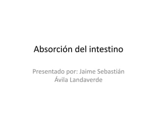 Absorción del intestino
Presentado por: Jaime Sebastián
Ávila Landaverde
 