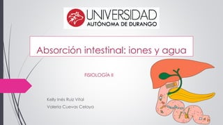 Absorción intestinal: iones y agua
Kelly Inés Ruiz Vital
Valeria Cuevas Celaya
FISIOLOGÍA II
 
