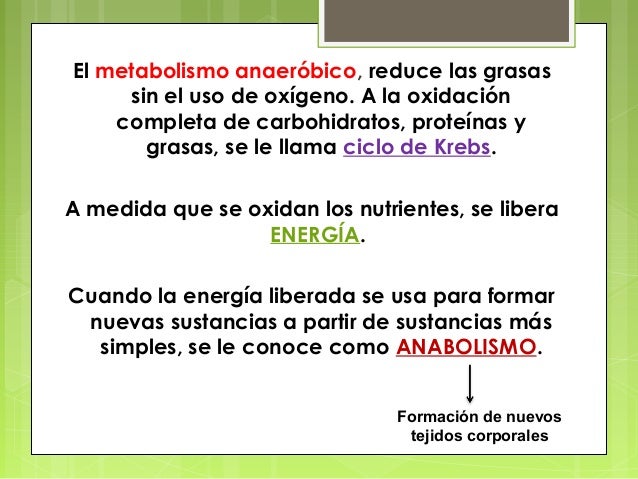 Necesitas un metabolismo anabolismo y catabolismo ?