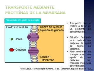 Transporte sin gasto de energía
• Transporte que se
realiza a favor de
un gradiente de
concentración.
• Difusión facilitada
es a través de una
proteína de canal
de forma no
selectiva.
• Paso mediante un
transportador con
ayuda de una
proteína que
reconoce moléculas
determinadas.
Florez Jesús. Farmacología Humana. 5ª ed. Santander, España: Elsevier; 2012.
 