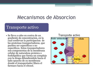 Mecanismos de Absorcion
Transporte activo
• Se lleva a cabo en contra de un
  gradiente de concentracion, en la
  cual con...