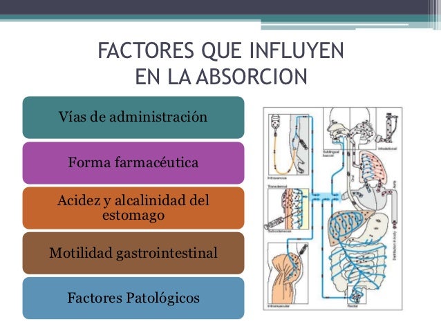 Resultado de imagen para absorcion farmacologia