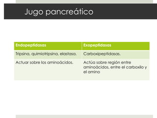 Jugo pancreático
Endopeptidasas Exopeptidasas
Tripsina, quimiotripsina, elastasa. Carboxipeptidasas.
Actuar sobre los aminoácidos. Actúa sobre región entre
aminoácidos, entre el carboxilo y
el amino
 
