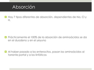 Absorción
 Hay 7 tipos diferentes de absorción, dependientes de Na, Cl y
H.
 Prácticamente el 100% de la absorción de aminoácidos se da
en el duodeno y en el yeyuno
 Al haber pasado a los enterocitos, pasan los aminoácidos al
torrente portal y a los linfáticos
 