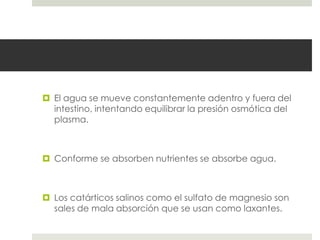  El agua se mueve constantemente adentro y fuera del
intestino, intentando equilibrar la presión osmótica del
plasma.
 Conforme se absorben nutrientes se absorbe agua.
 Los catárticos salinos como el sulfato de magnesio son
sales de mala absorción que se usan como laxantes.
 