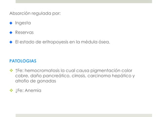 Absorción regulada por:
Ingesta
Reservas
El estado de eritropoyesis en la médula ósea.
PATOLOGIAS
 ↑Fe: hemocromatosis la cual causa pigmentación color
cobre, daño pancreático, cirrosis, carcinoma hepático y
atrofio de gonadas
 ↓Fe: Anemia
 
