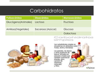 Carbohidratos
Polisacáridos Disacáridos Monosacáridos
Glucógeno(Animales) Lactosa Fructosa
Amilosa(Vegetales) Sacarosa (Azúcar) Glucosa
Galactosa
 