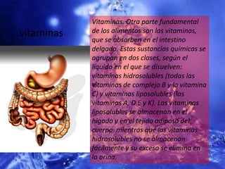 Vitaminas. Otra parte fundamental de los alimentos son las vitaminas, que se absorben en el intestino delgado. Estas sustancias químicas se agrupan en dos clases, según el líquido en el que se disuelven: vitaminas hidrosolubles (todas las vitaminas de complejo B y la vitamina C) y vitaminas liposolubles (las vitaminas A, D E y K). Las vitaminas liposolubles se almacenan en el hígado y en el tejido adiposo del cuerpo, mientras que las vitaminas hidrosolubles no se almacenan fácilmente y su exceso se elimina en la orina.vitaminas