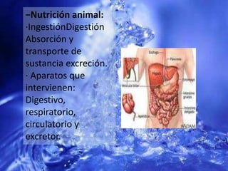 −Nutrición animal:·IngestiónDigestiónAbsorción y transporte de sustancia excreción.· Aparatos que intervienen: Digestivo, respiratorio, circulatorio y excretor.