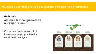 • Ar do solo
• Atividade de microrganismos e a
respiração radicular.
• O suprimento de ar no solo é
inversamente proporcional ao
suprimento de água.
Influência da condição física do solo sobre o transporte de nutrientes
Fonte:SENSIX
 