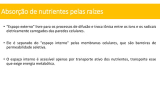 • “Espaço externo" livre para os processos de difusão e troca iônica entre os íons e os radicais
eletricamente carregados das paredes celulares.
• Ele é separado do "espaço interno" pelas membranas celulares, que são barreiras de
permeabilidade seletiva.
• O espaço interno é acessível apenas por transporte ativo dos nutrientes, transporte esse
que exige energia metabólica.
Absorção de nutrientes pelas raízes
 