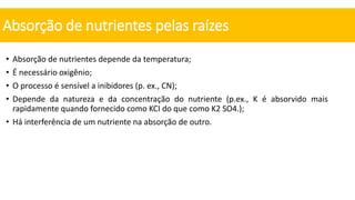 • Absorção de nutrientes depende da temperatura;
• É necessário oxigênio;
• O processo é sensível a inibidores (p. ex., CN);
• Depende da natureza e da concentração do nutriente (p.ex., K é absorvido mais
rapidamente quando fornecido como KCI do que como K2 SO4.);
• Há interferência de um nutriente na absorção de outro.
Absorção de nutrientes pelas raízes
 