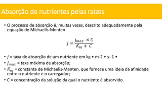 • O processo de absorção é, muitas vezes, descrito adequadamente pela
equação de Michaelis-Menten
𝑗 =
𝑗𝑚𝑎𝑥 × 𝐶
𝐾𝑚 + 𝐶
• 𝑗 = taxa de absorção de um nutriente em kg • m-2 • s- 1 •
• 𝑗𝑚𝑎𝑥 = taxa máxima de absorção;
• 𝐾𝑚 = constante de Michaelis-Menten, que fornece uma ideia da afinidade
entre o nutriente e o carregador;
• C = concentração da solução da qual o nutriente é absorvido.
Absorção de nutrientes pelas raízes
 