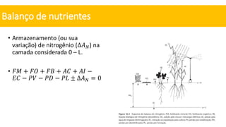 • Armazenamento (ou sua
variação) de nitrogênio (Δ𝐴𝑁) na
camada considerada 0 – L.
• 𝐹𝑀 + 𝐹𝑂 + 𝐹𝐵 + 𝐴𝐶 + 𝐴𝐼 −
𝐸𝐶 − 𝑃𝑉 − 𝑃𝐷 − 𝑃𝐿 ± Δ𝐴𝑁 = 0
Balanço de nutrientes
 