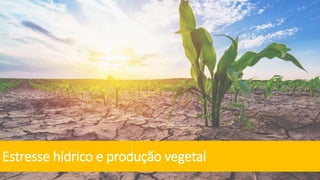 Estresse hídrico e produção vegetal
 