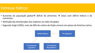 • Aumento da população global déficit de alimentos  áreas com déficit hídrico e de
nutrientes.
• Definição das distribuições das espécies ao redor do globo.
• Segundo Singh (1995), mais de 60% do cultivo de feijão comum em países da América Latina.
Estresse hídrico
Déficit hídrico
Crescimento
vegetativo
Crescimento
Reprodutivo
Precipitação
 