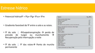 • Potencial hídrico𝛹 = 𝛹p+ 𝛹g+ 𝛹𝑜𝑠+ 𝛹m
• Gradiente favorável de 𝛹 entre o solo e as raízes.
• 𝛹 do solo Evapotranspiração  perda de
pressão de turgor ou murchamento 
Recuperação pela interrupção a noite
• 𝛹 do solo 𝛹 das raízes Ponto de murcha
permanente
Estresse hídrico
 