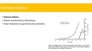 • Estresse hídrico
• Fatores construtivos e destrutivos.
• Fator limitante no suprimento de nutrientes
Estresse hídrico
 