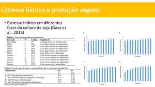 • Estresse hídrico em diferentes
fases da cultura da soja (Gava et
al., 2015)
Estresse hídrico e produção vegetal
 