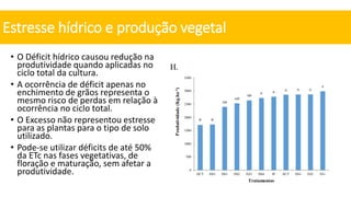 • O Déficit hídrico causou redução na
produtividade quando aplicadas no
ciclo total da cultura.
• A ocorrência de déficit apenas no
enchimento de grãos representa o
mesmo risco de perdas em relação à
ocorrência no ciclo total.
• O Excesso não representou estresse
para as plantas para o tipo de solo
utilizado.
• Pode-se utilizar déficits de até 50%
da ETc nas fases vegetativas, de
floração e maturação, sem afetar a
produtividade.
Estresse hídrico e produção vegetal
 