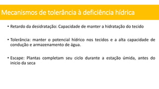 • Retardo da desidratação: Capacidade de manter a hidratação do tecido
• Tolerância: manter o potencial hídrico nos tecidos e a alta capacidade de
condução e armazenamento de água.
• Escape: Plantas completam seu ciclo durante a estação úmida, antes do
inicio da seca
Mecanismos de tolerância à deficiência hídrica
 
