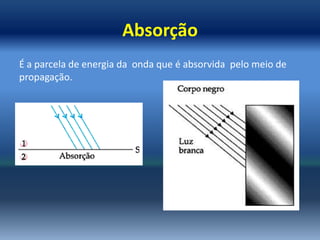 Absorção e difração | PPTX
