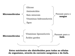 Glicose
Aminoácidos
Micromoléculas

Sais minerais

Passam para o
sangue

Vitaminas hidrossoluveis
Água

Micromoléculas

Vitaminas lipossoluveis
Ácidos gordos

Passam para a
linfa

Estes nutrientes são distribuídos para todas as células
do organismo, através da corrente sanguínea e da linfa.

 